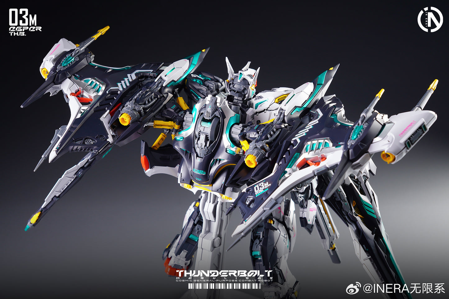 IN ERA+ RMD Thunderbolt Mobulidae Manta Ray REAL MINUTIA DESIGNS Model Kit