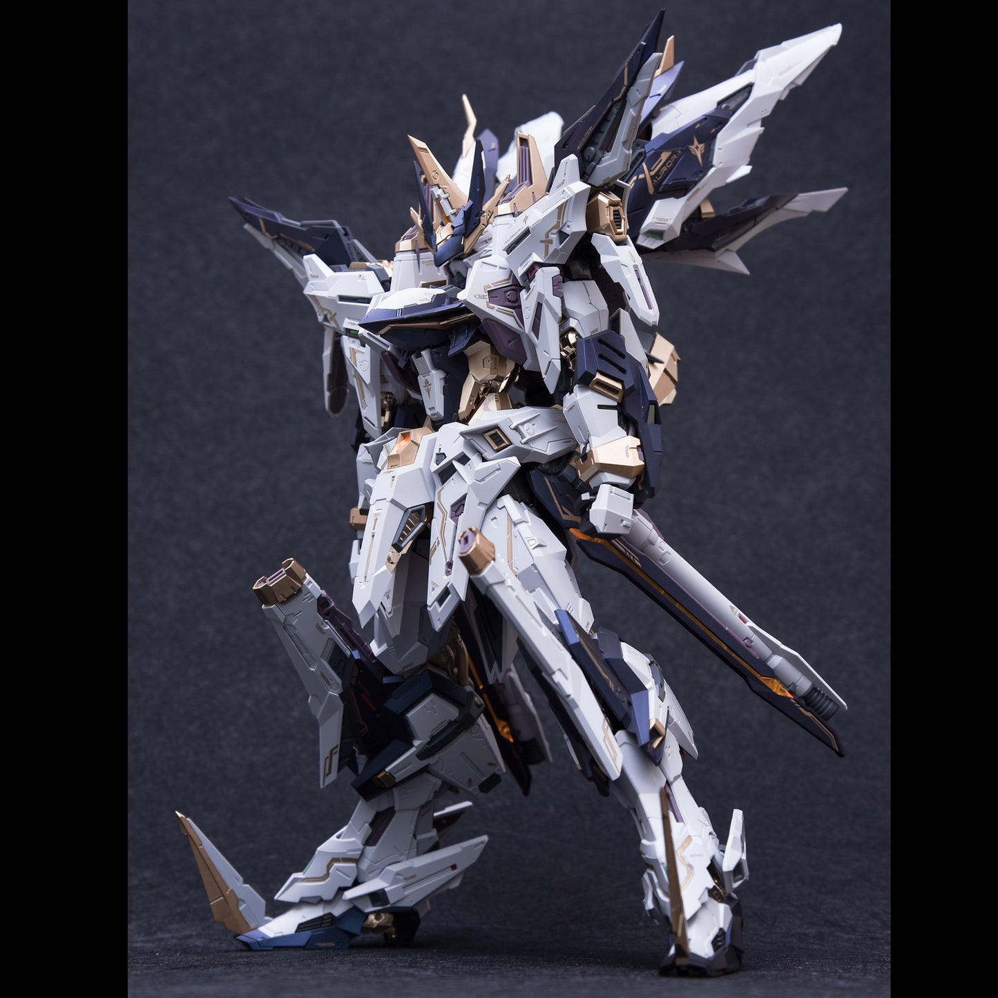 IN ERA+ PMD Aurora Perfaction Metal Design 1/100   Model Kit